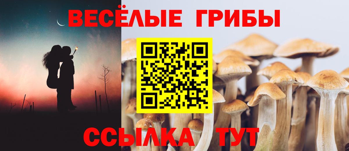 Санкт-Петербург  где можно купить   Вход с VPN  Галлюциногенные грибы Psilocybine cubensis 